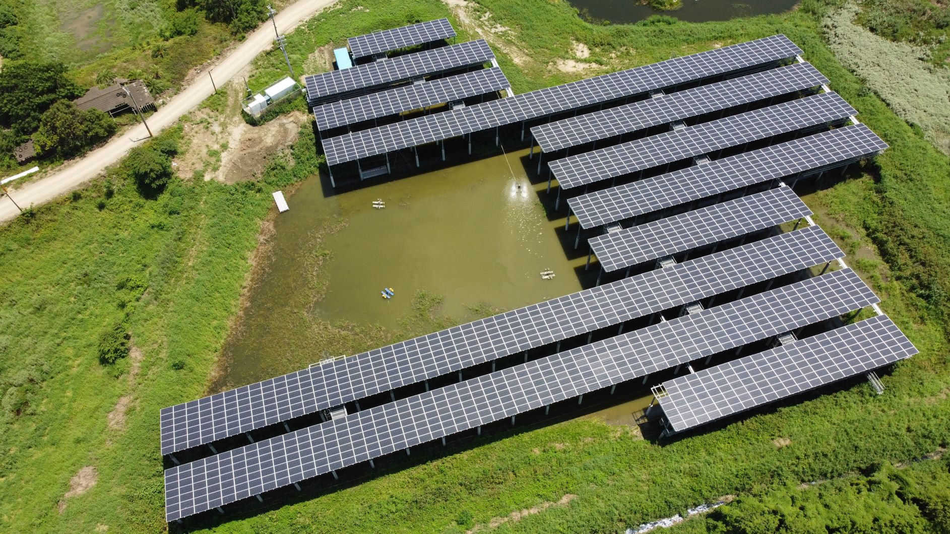 嘉義仲駿魚塭為全台首例漁電共生案場。（永鑫能源提供）